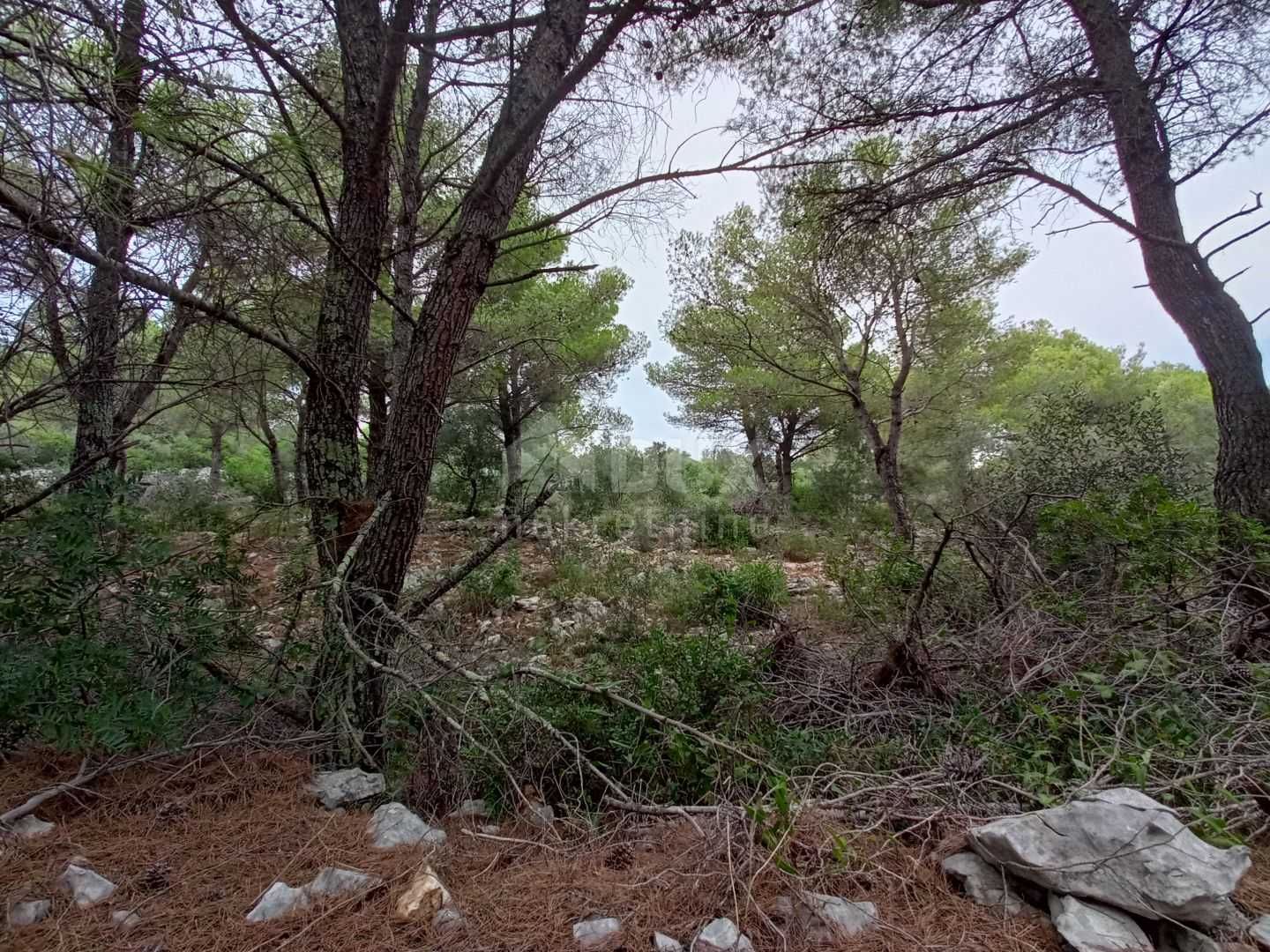 Terra no Kukljica, Zadarska županija 12134438