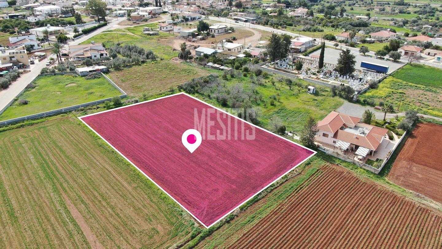 Terre dans Orounda, Nicosia 12134957