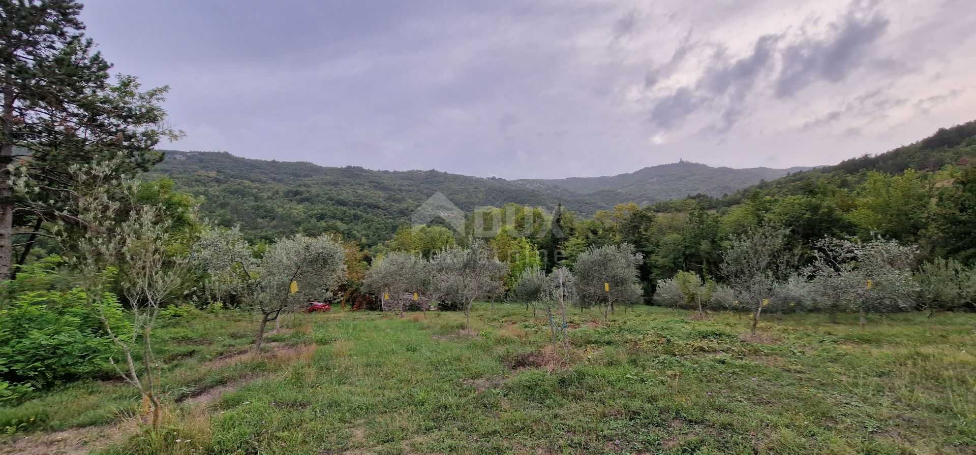 Land in Gračišće, Istria County 12140002