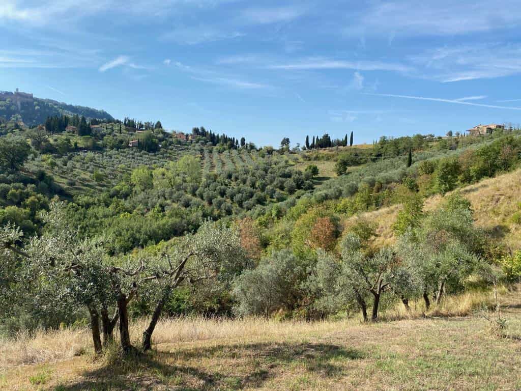 Tanah dalam Volterra, Tuscany 12141027