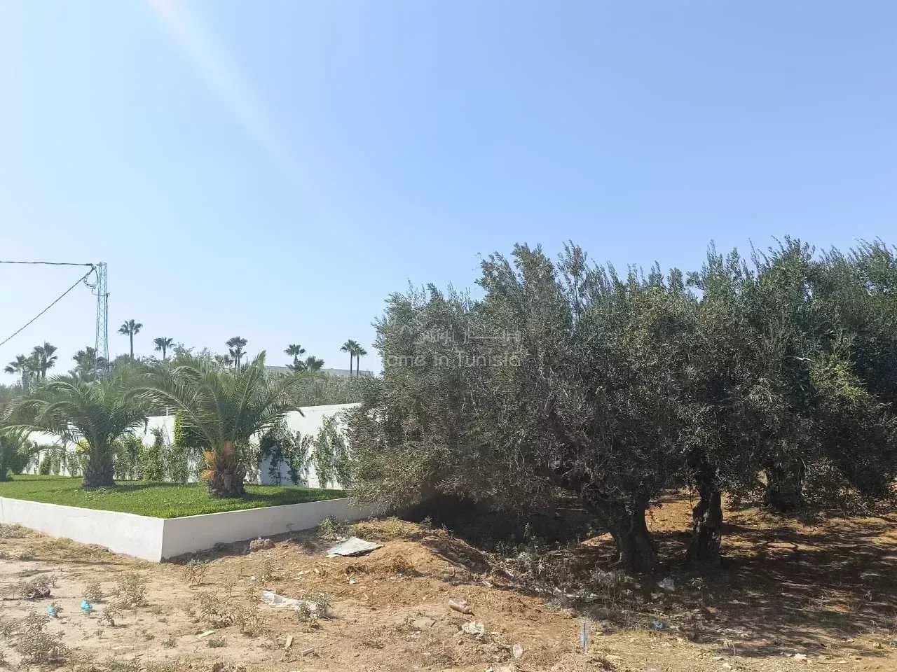 Tanah di Akouda, Sousse 12141593