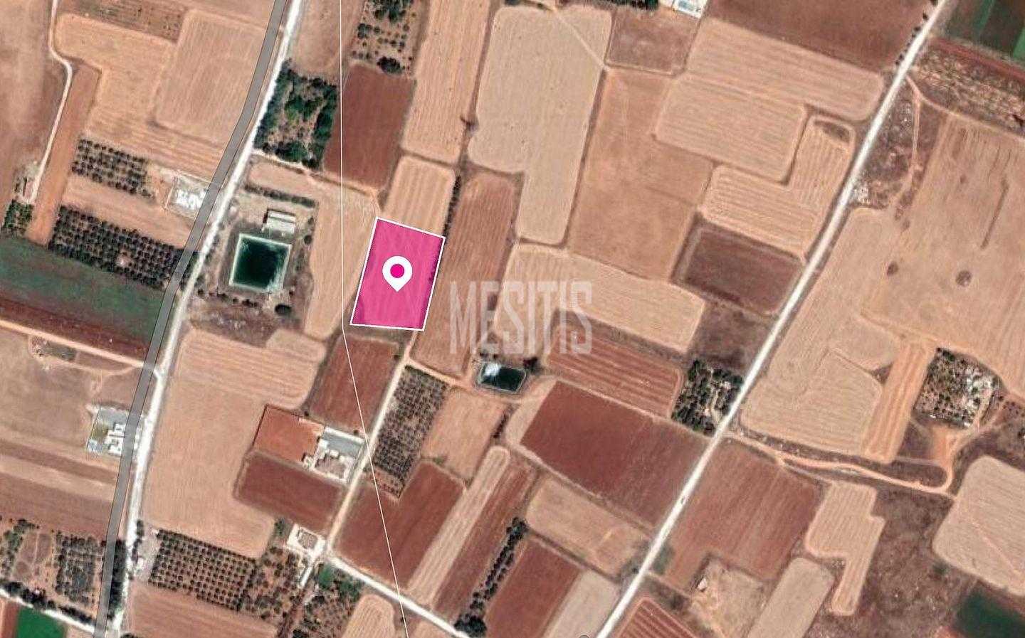 Tanah dalam Xylofagou, Larnaka 12142023