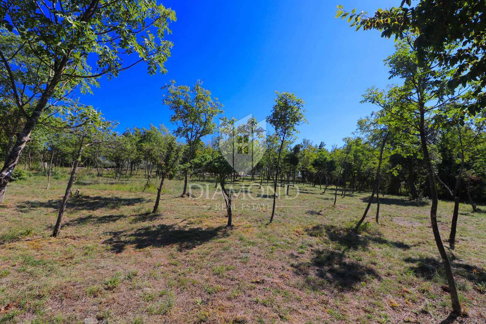 Land in Barban, Istria County 12142041