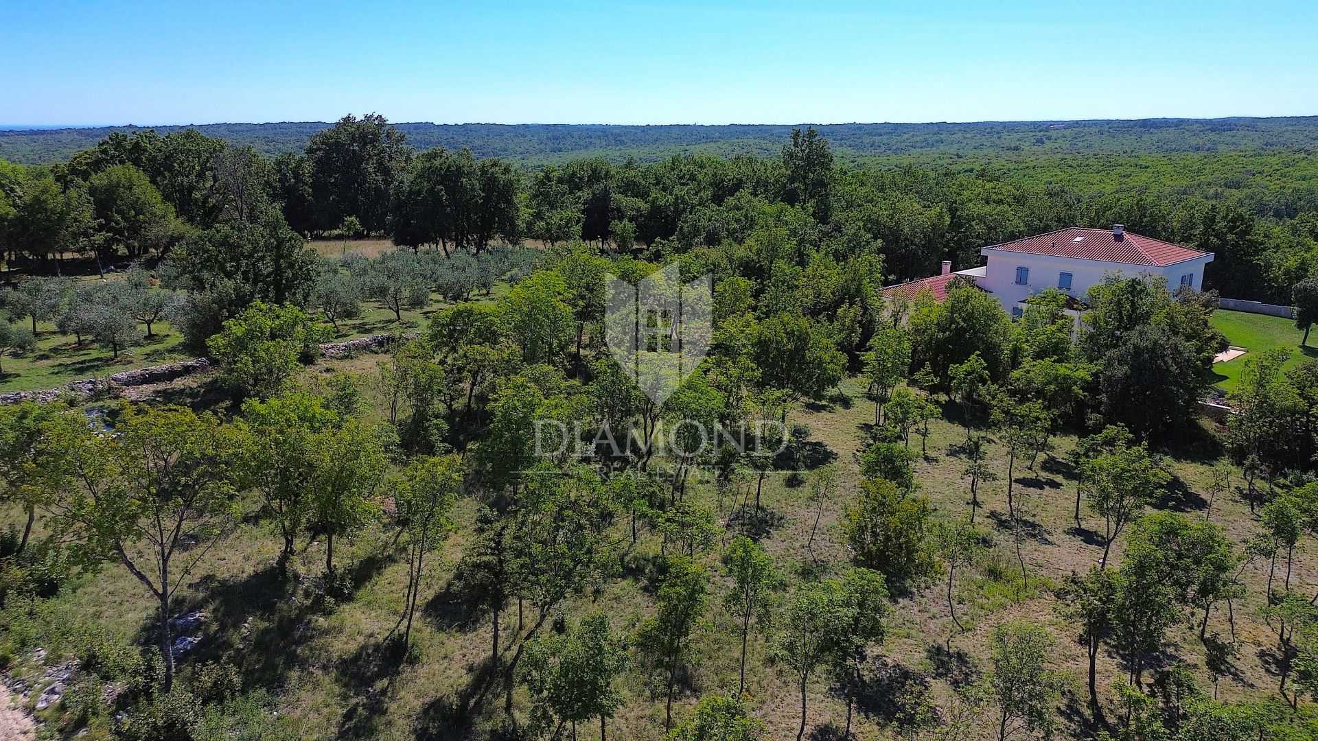 Land in Barban, Istria County 12142041