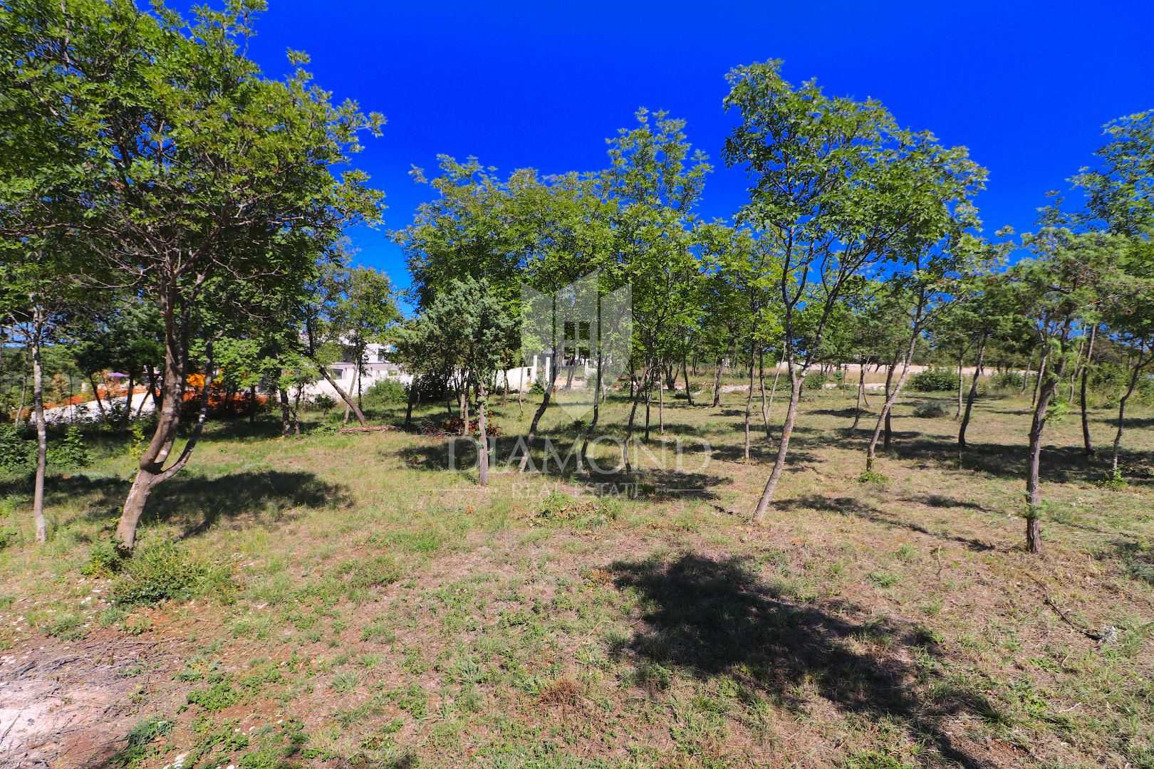 Land in Barban, Istria County 12142042