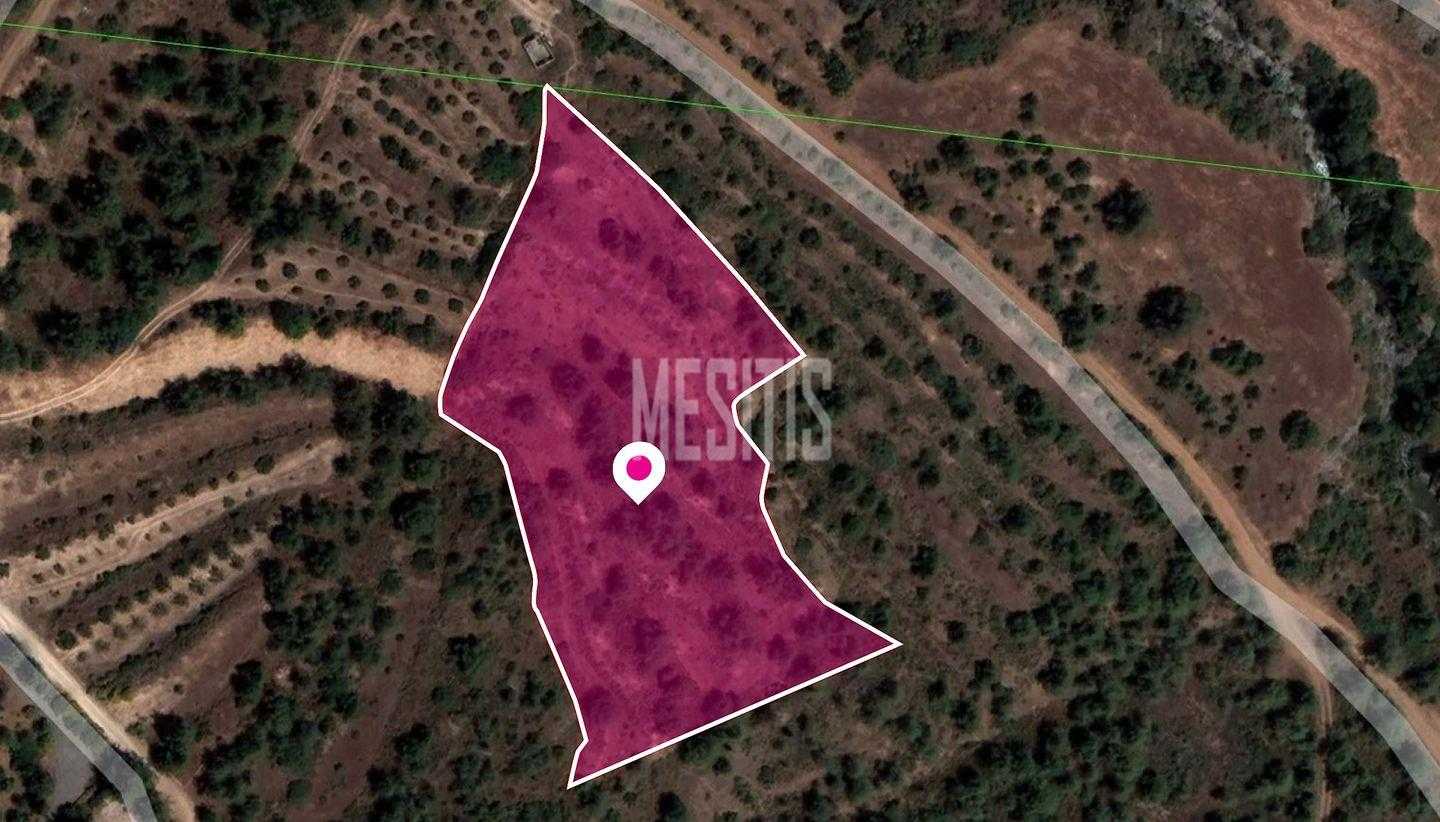 Land in Psimolofou, Lefkosia 12145650
