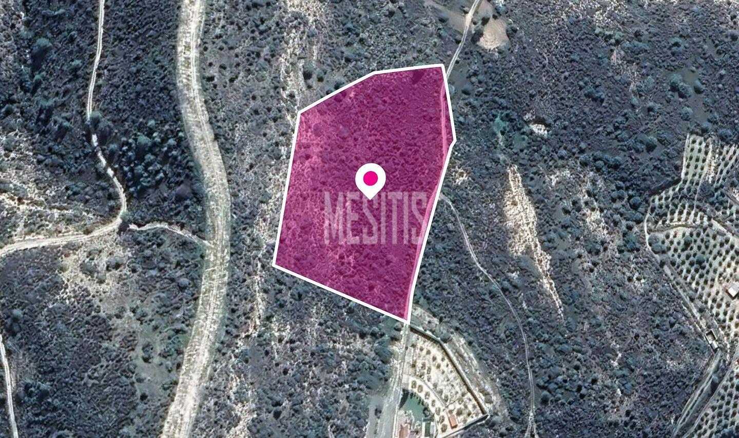 Tanah dalam Pano Lefkara, Larnaka 12145663