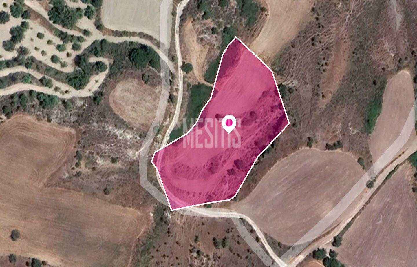 Land in Tala, Pafos 12145696