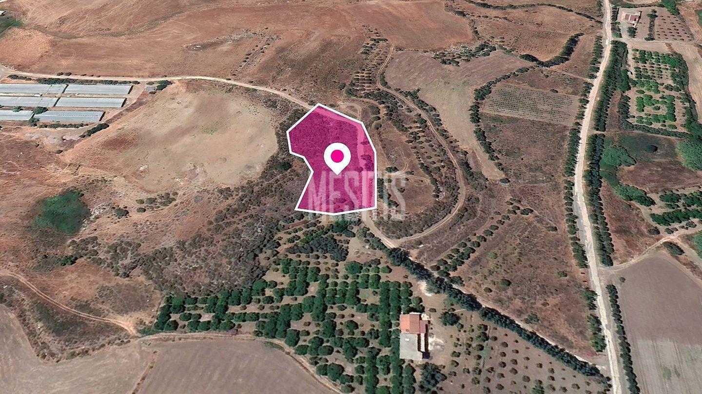 Tanah dalam Agia Marinouda, Pafos 12145771
