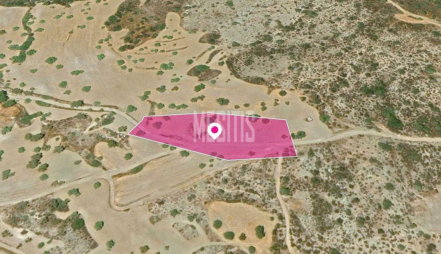 Tanah dalam Pano Lefkara, Larnaka 12145908