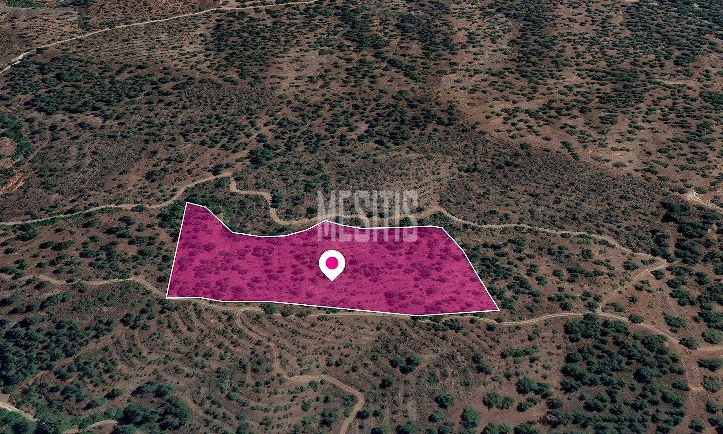 Tanah dalam Kokkinotrimithia, Lefkosia 12145918