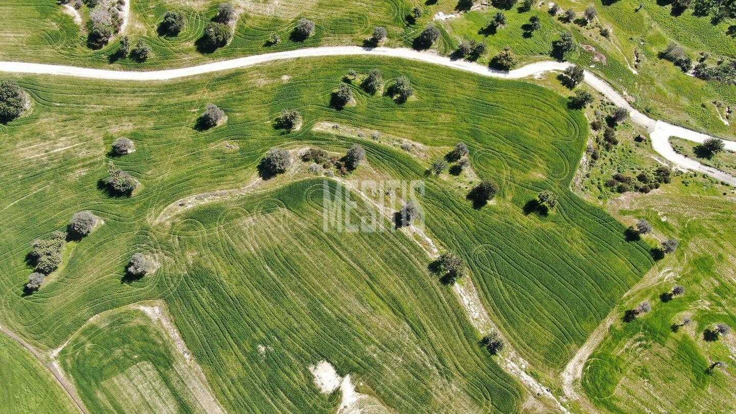 Land in Zygi, Larnaka 12145986