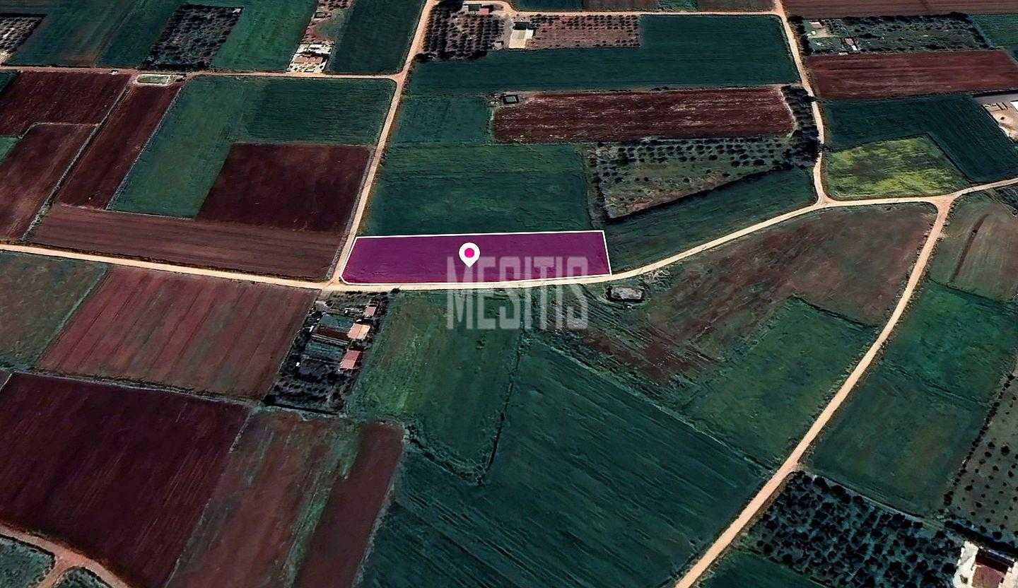 الأرض في Xylofagou, Larnaca 12146014