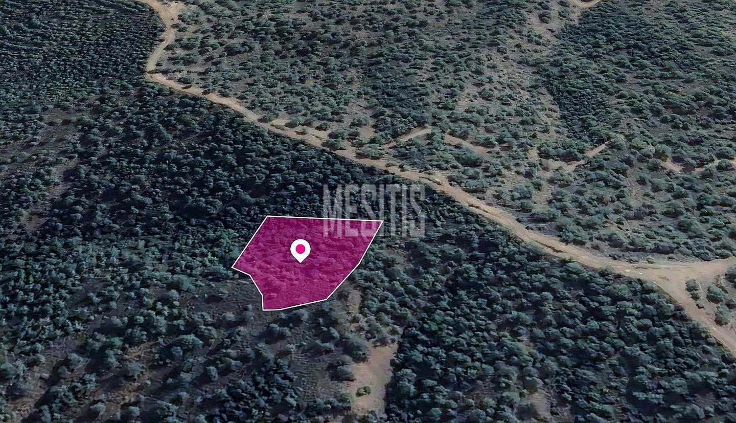 Land in Kampos, Nicosia 12146057