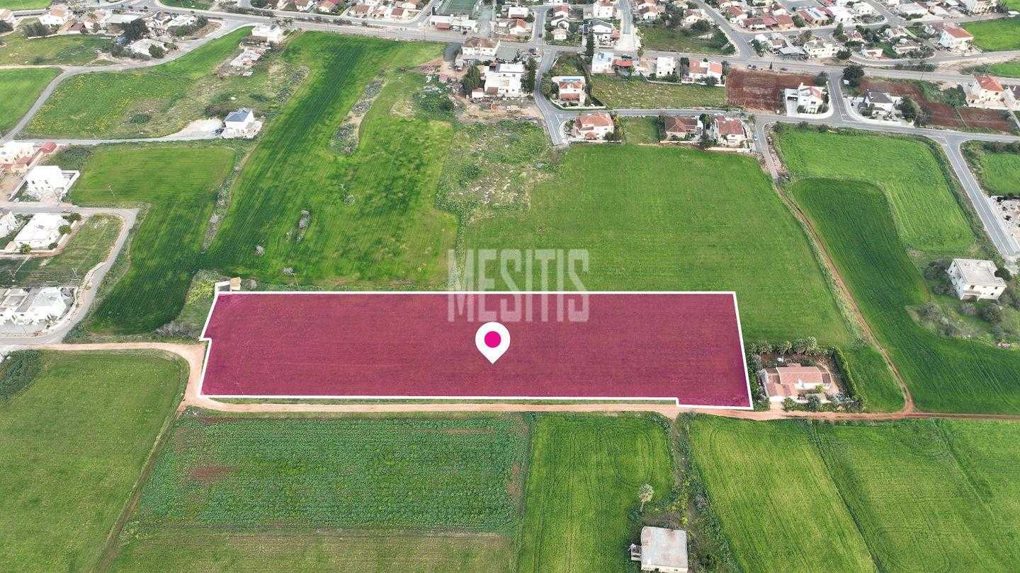 Land in Avgorou, Famagusta 12146103