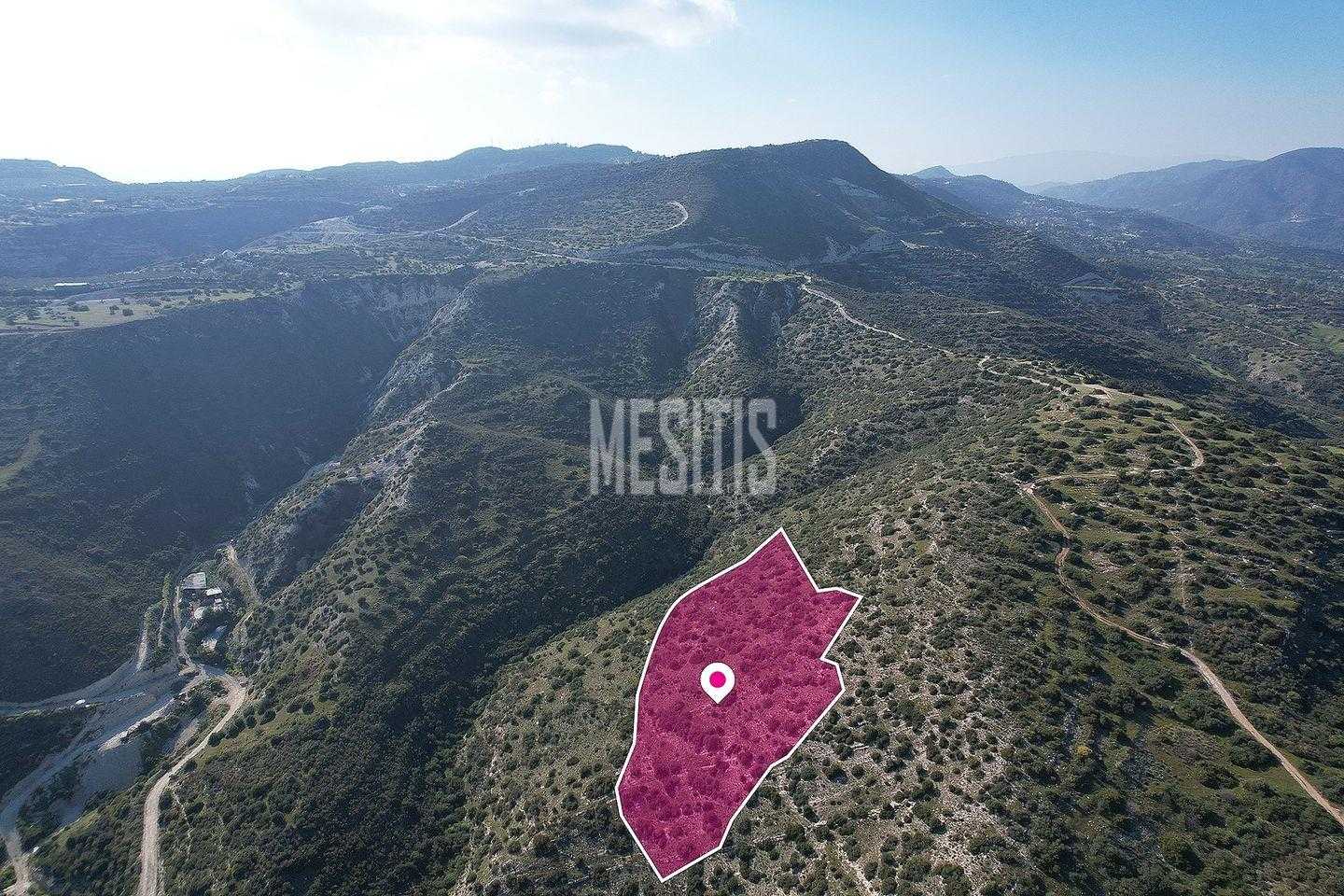 Tanah dalam Germasogeia, Lemesos 12146106