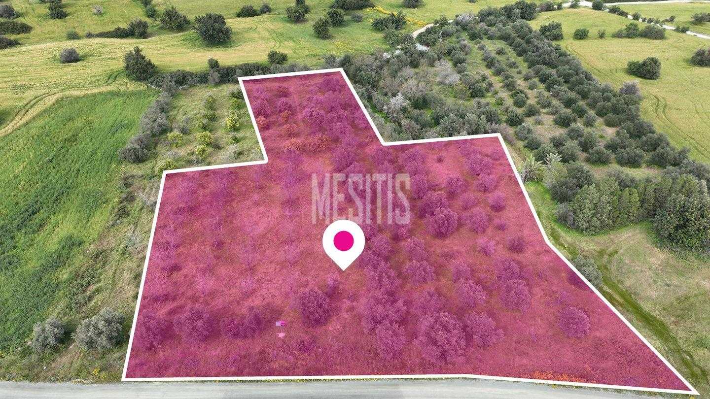 Land in Anglisides, Larnaca 12146148