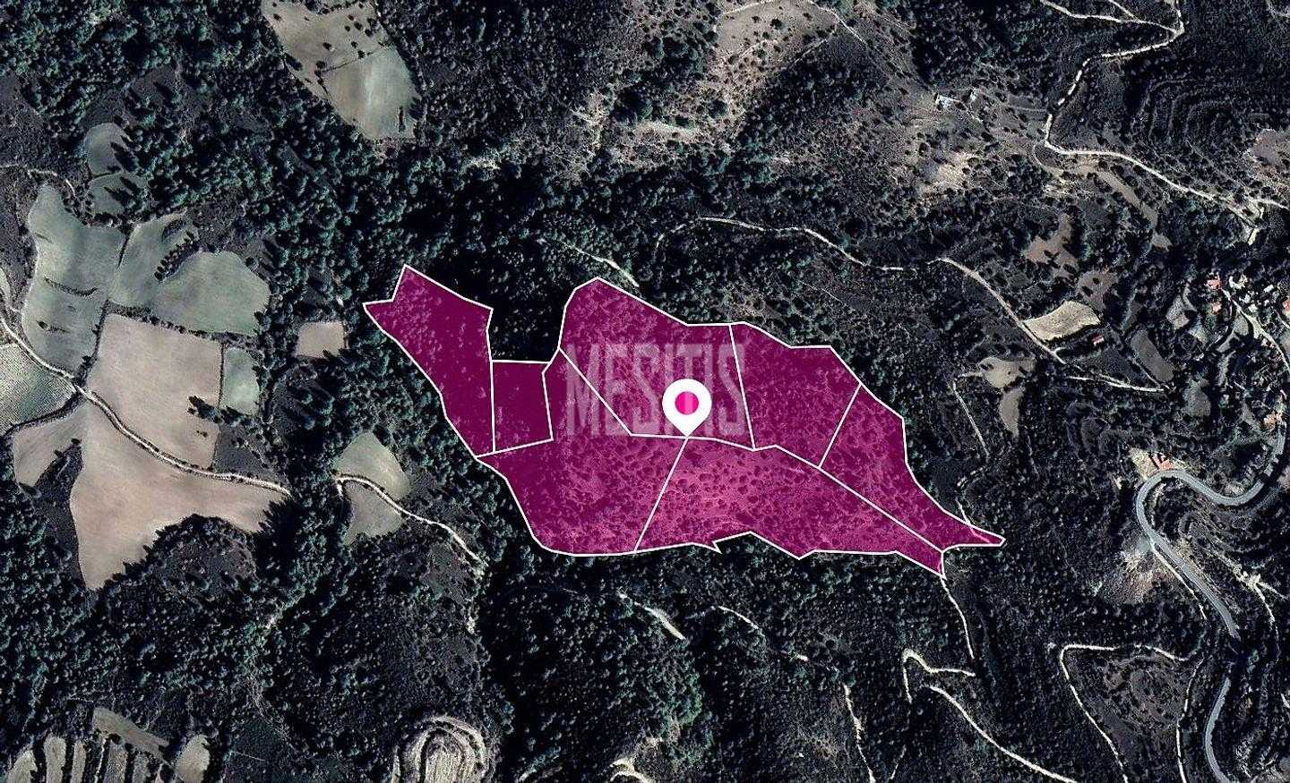 भूमि में पम्पौला, लेमेसोस 12146163