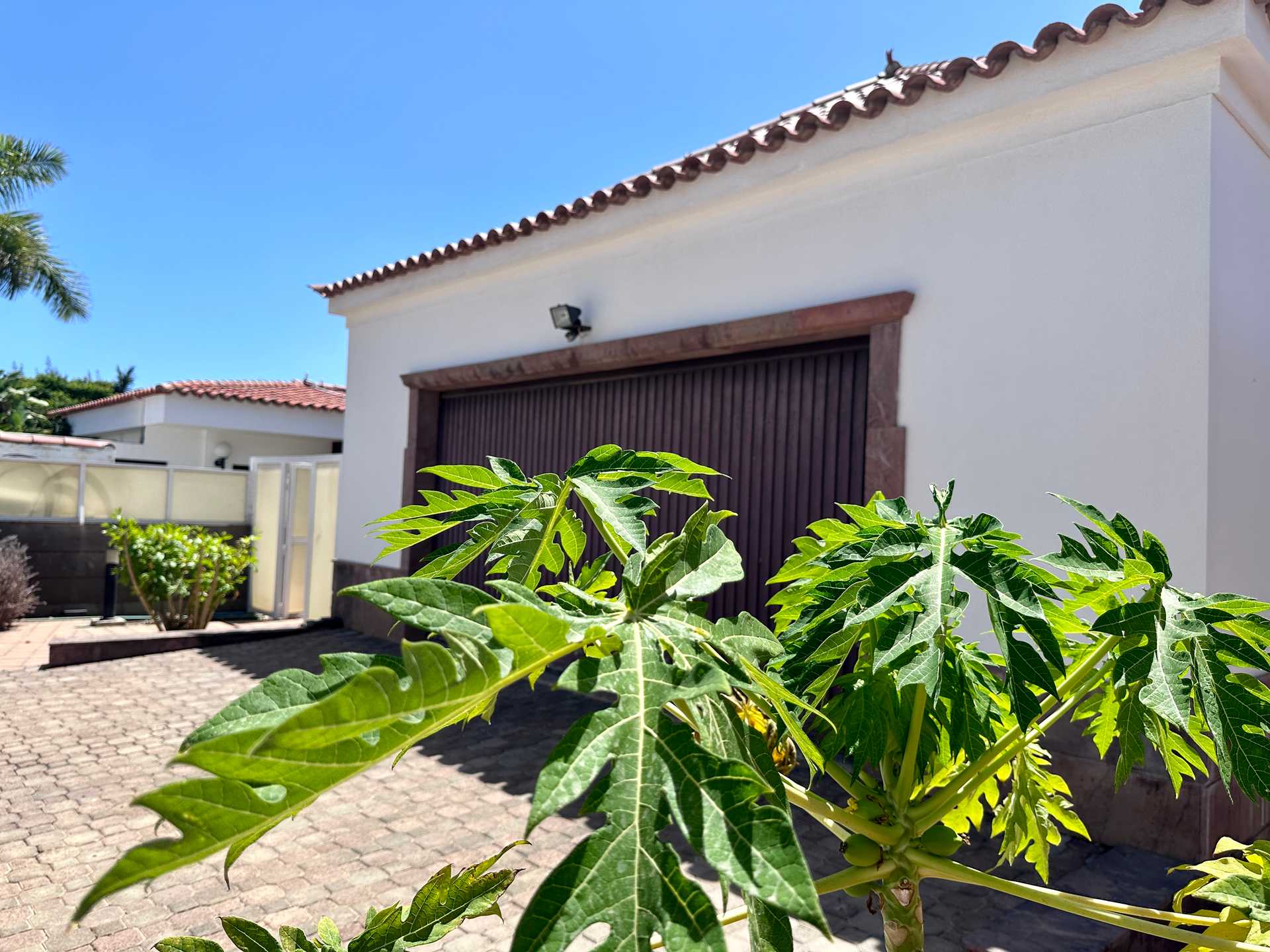 房子 在 Maspalomas, Canarias 12148346