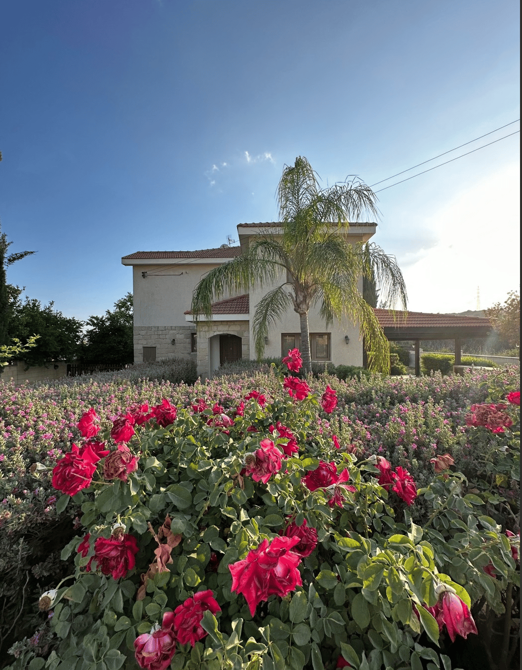 House in Pyrgos, Larnaka 12150920