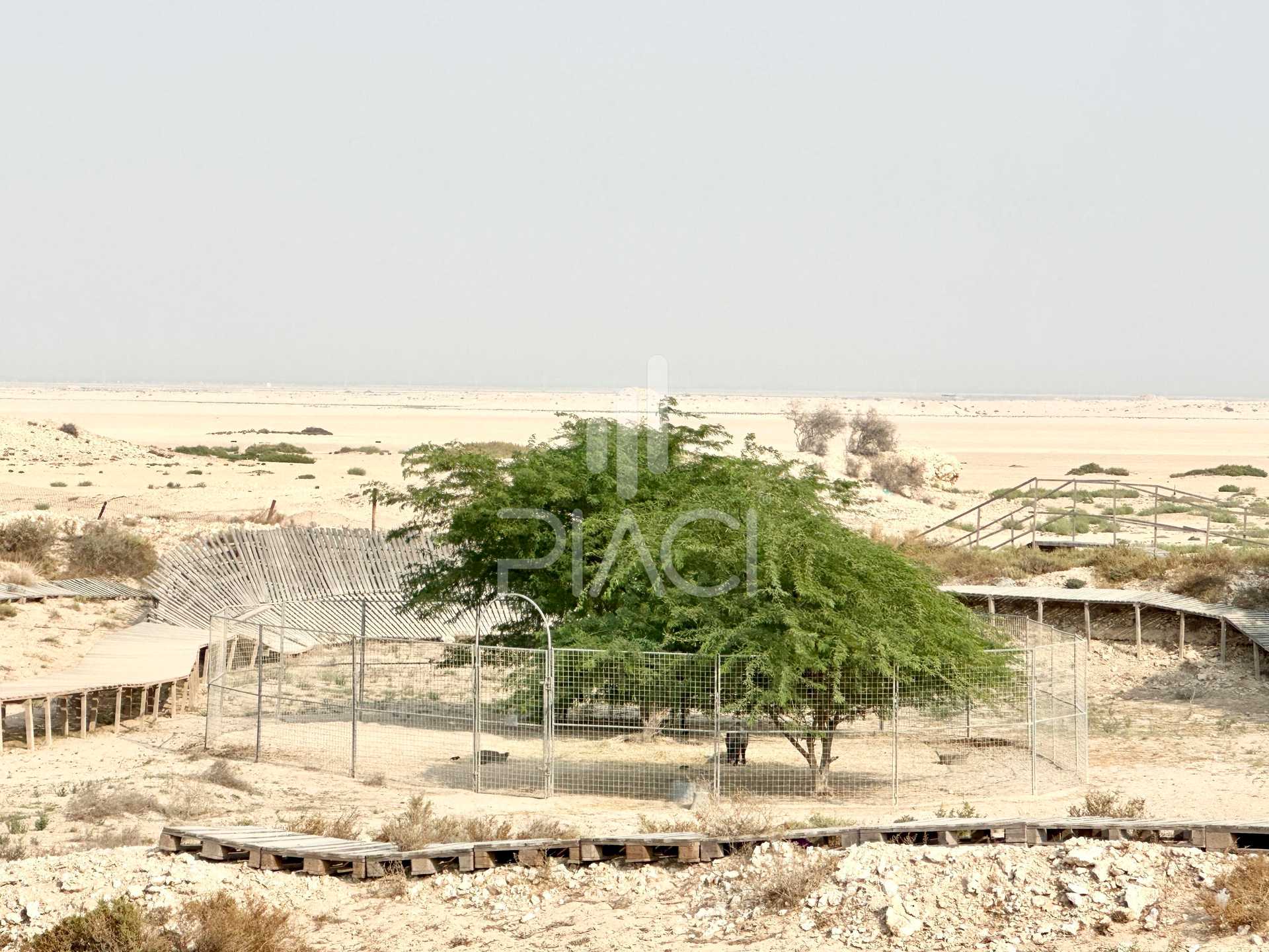 Terre dans Al Dhakira, Al Khor and Al Thakhira Municipality 12158396