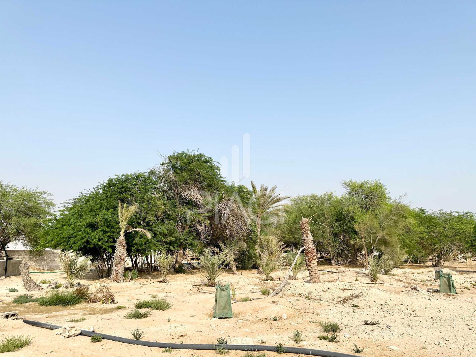 Land im Al Dhakira, Al Khor and Al Thakhira Municipality 12158396