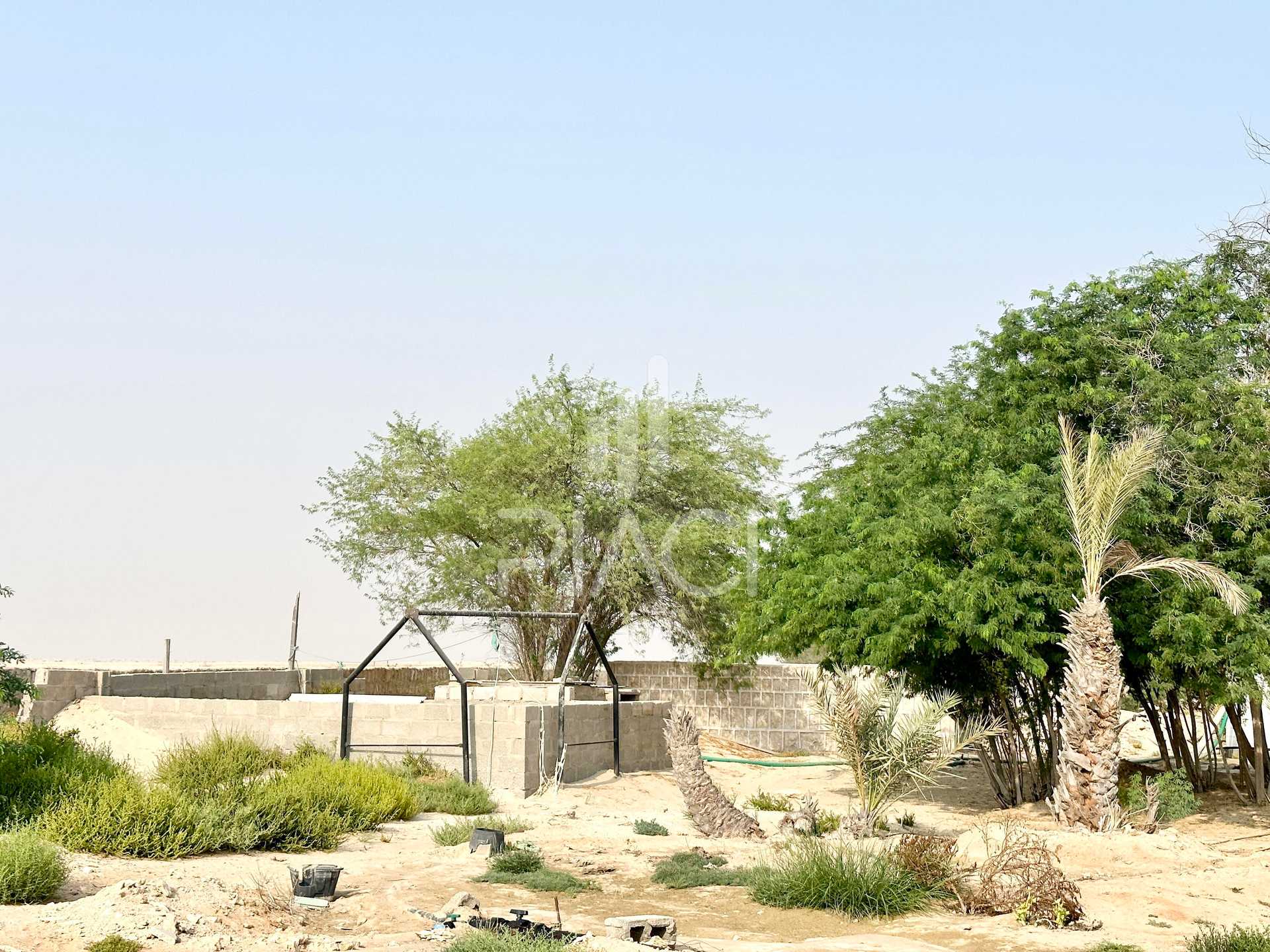 Γη σε Al Dhakira, Al Khor and Al Thakhira Municipality 12158396