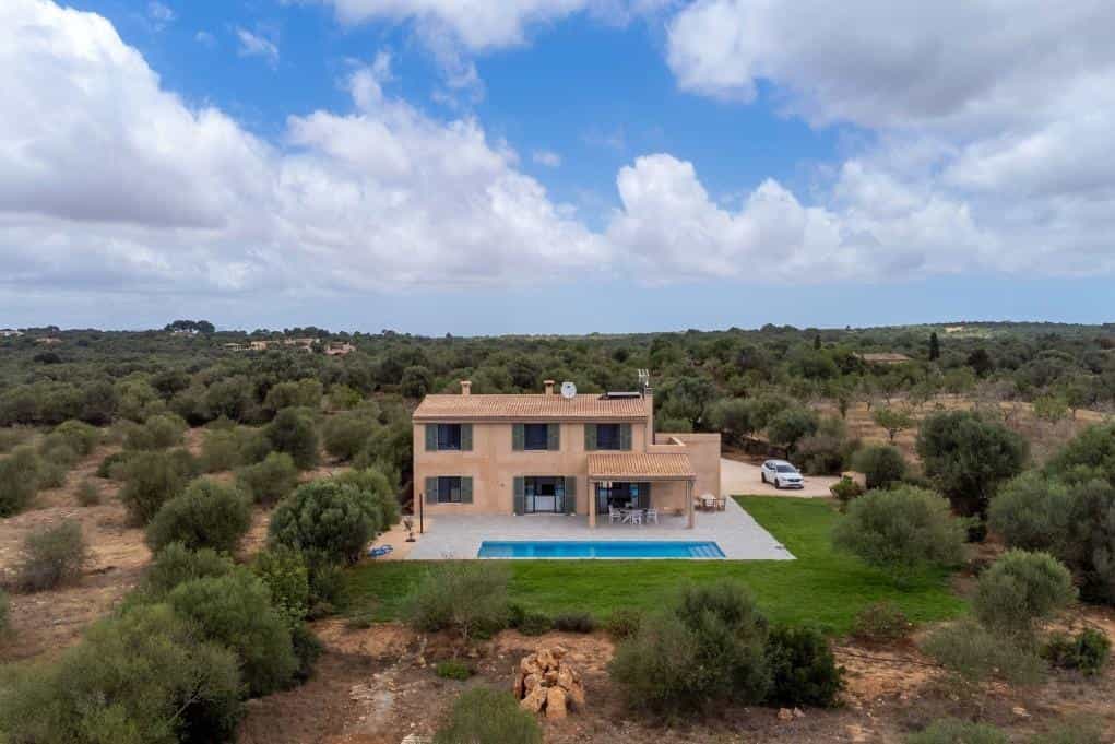 House in Ses Salines, Balearic Islands 12160707