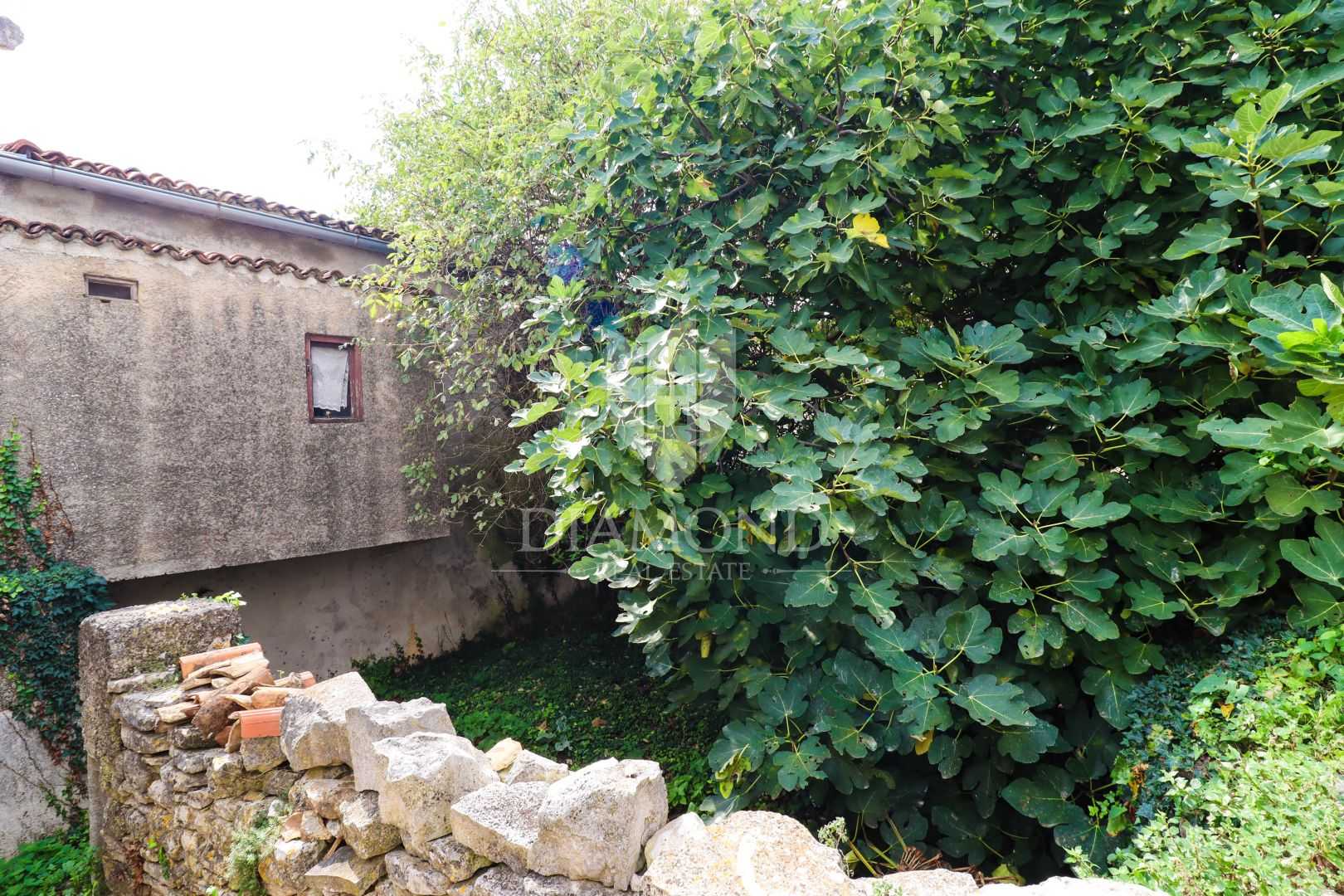 House in Poreč, Istria County 12162771