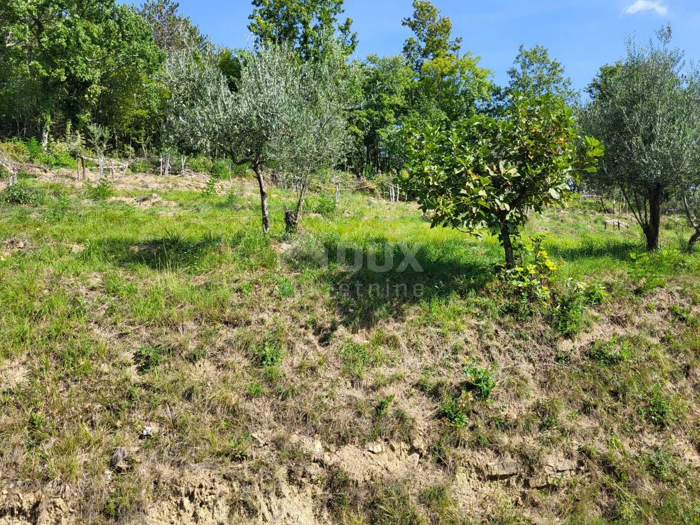 Land in Hum, Istria County 12167399