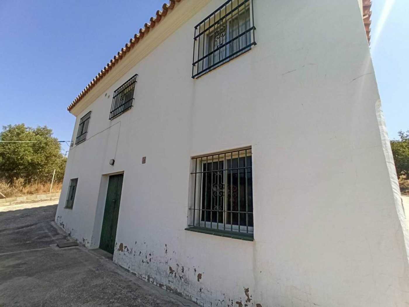 House in Estepona, Andalusia 12174156