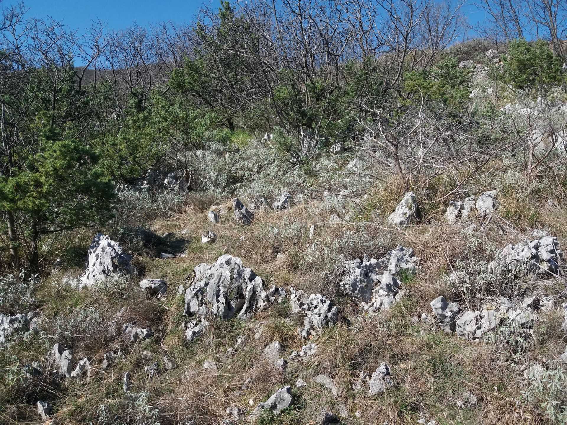 Tanah di Moscenicka Draga, Primorsko-Goranska Zupanija 12177761