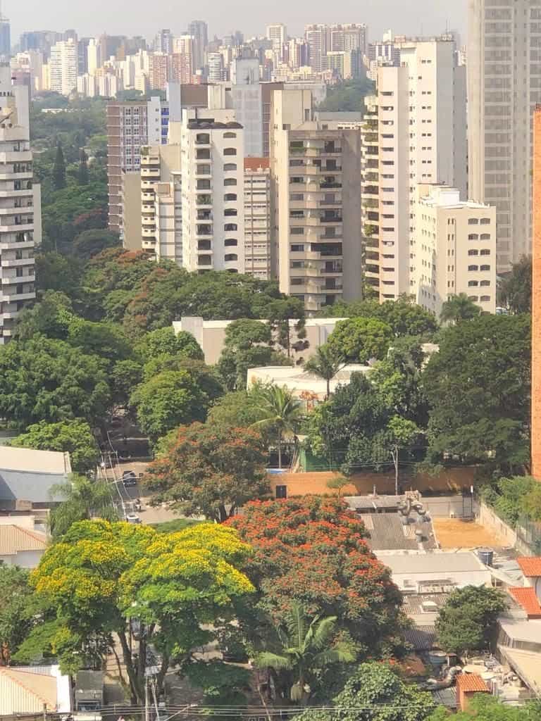 Andere im Ibirapuera, Sao Paulo 12188716