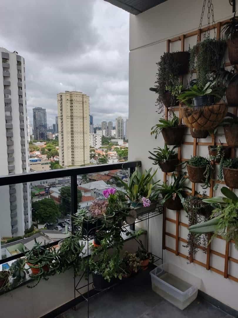 Andet i Ibirapuera, Sao Paulo 12188736