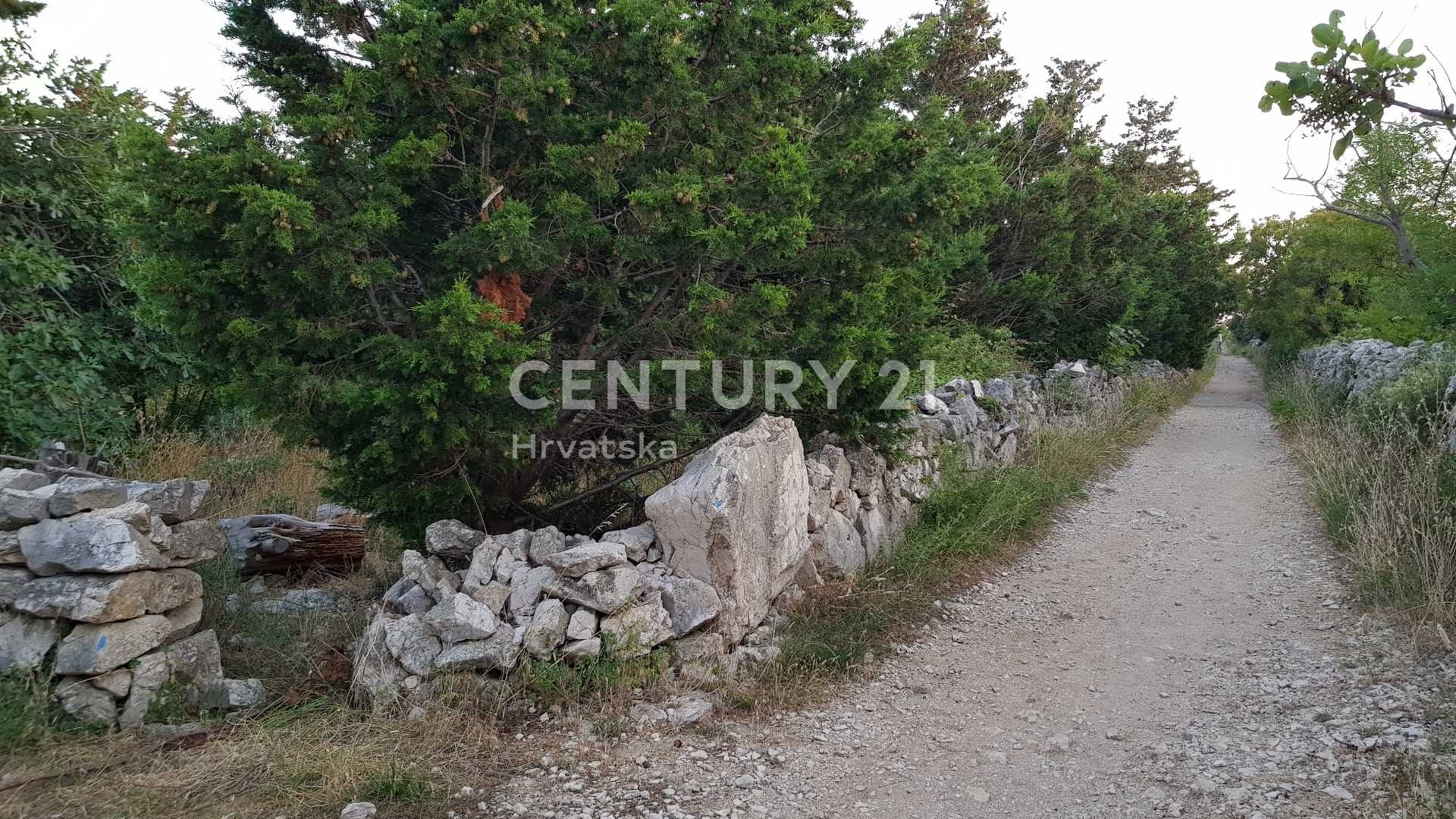 Tierra en Pag, Zadarska Zupanija 12189524