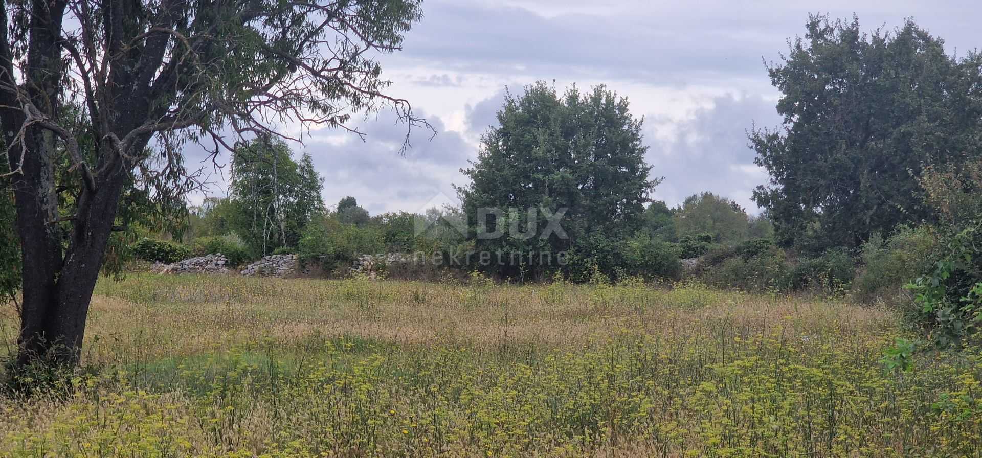 Tanah dalam Svetvincenat, Istarska Zupanija 12194457