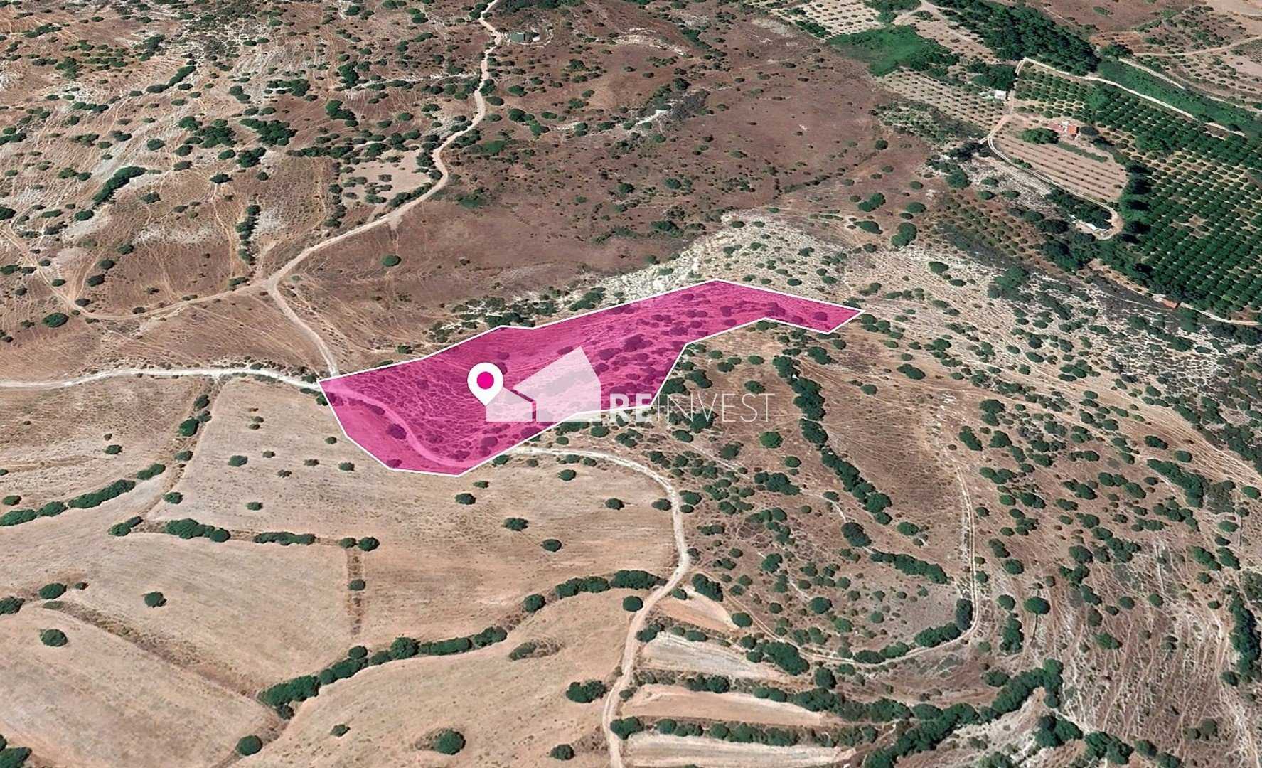 Tanah dalam Mesa Chorio, Pafos 12197795