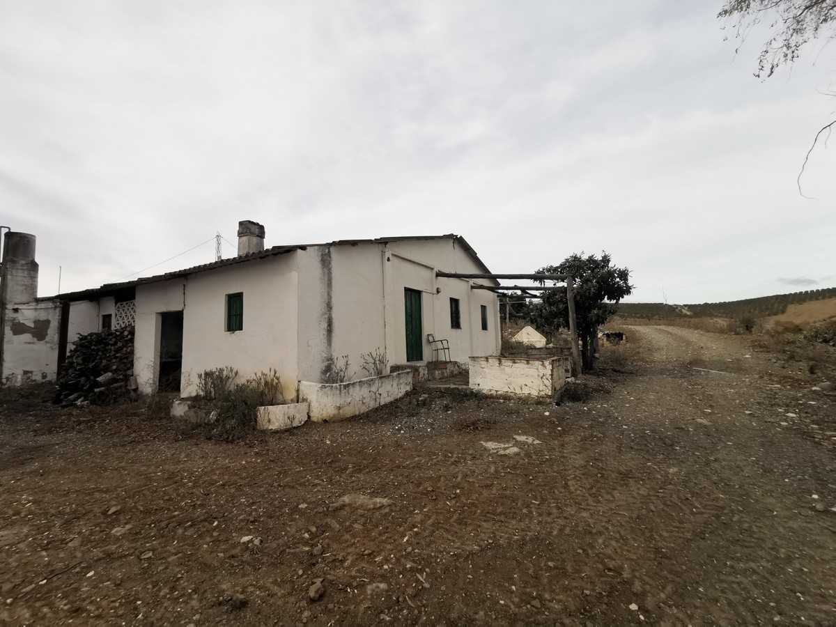 土地 在 Coín, Andalusia 12200596