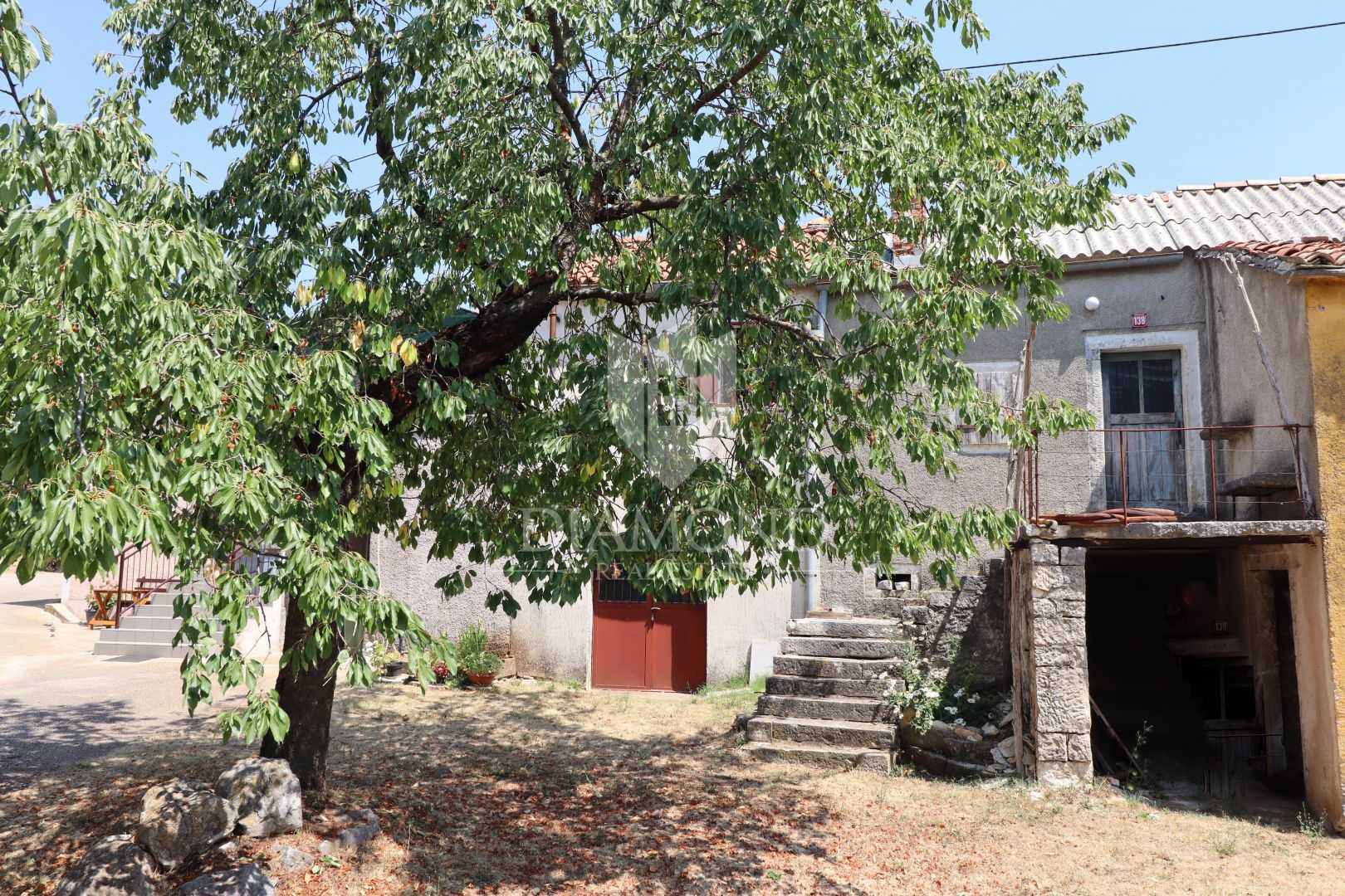 Huis in Tinjan, Istria County 12202791