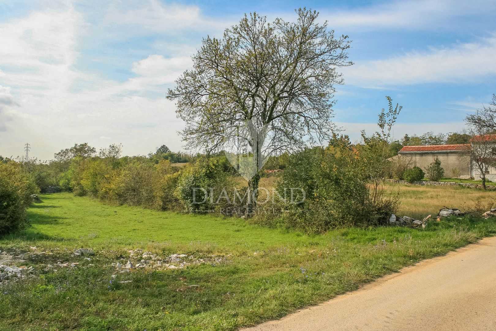 Land in Barban, Istria County 12203711