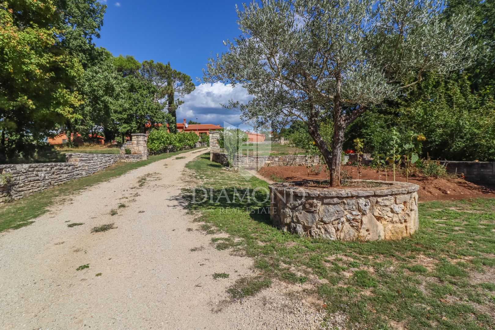 House in Kanfanar, Istria County 12203721