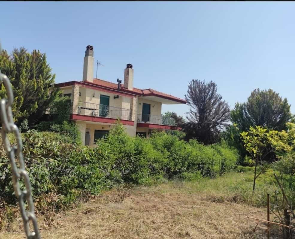 House in Epanomi, Kentriki Makedonia 12204480