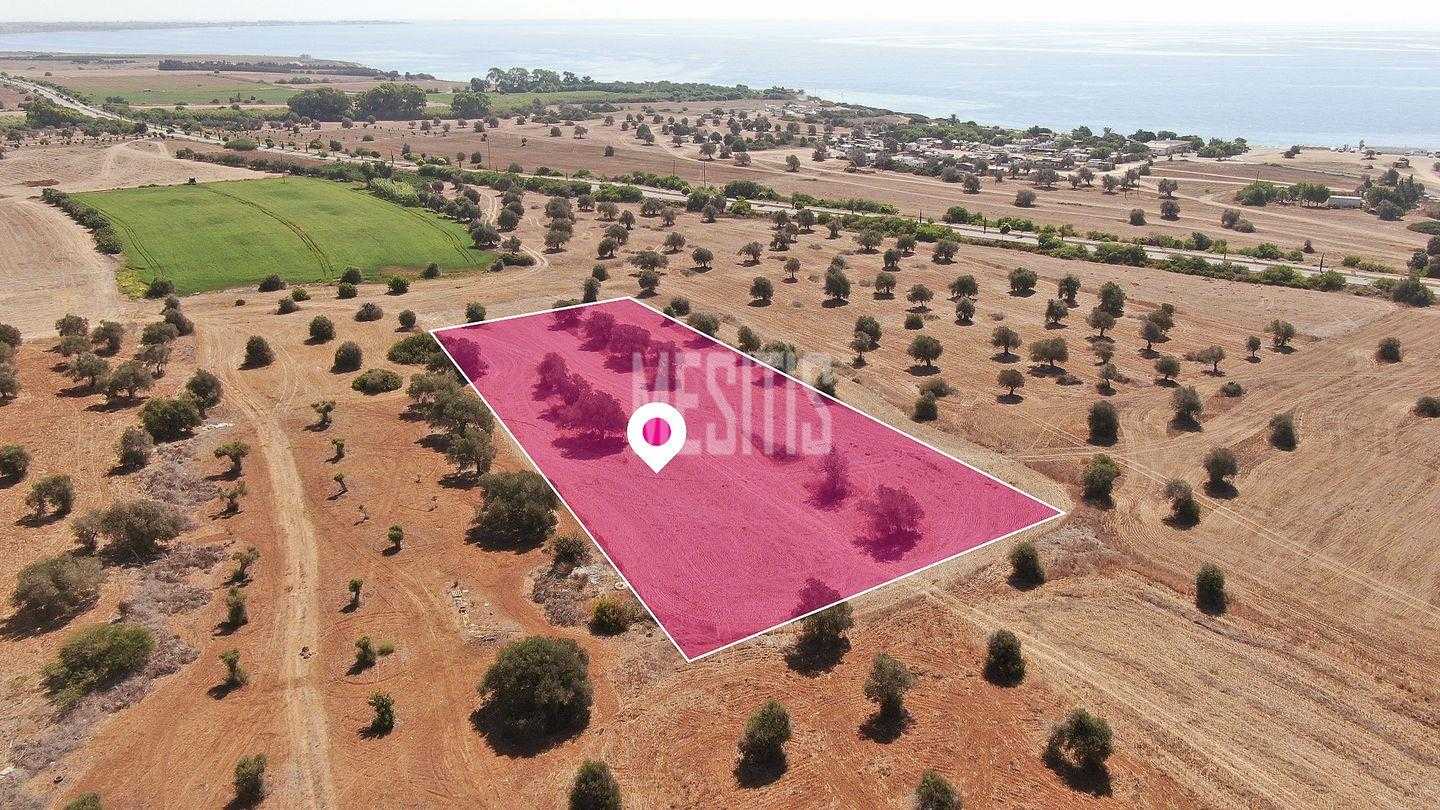 Tanah di Kiti, Larnaca 12204638