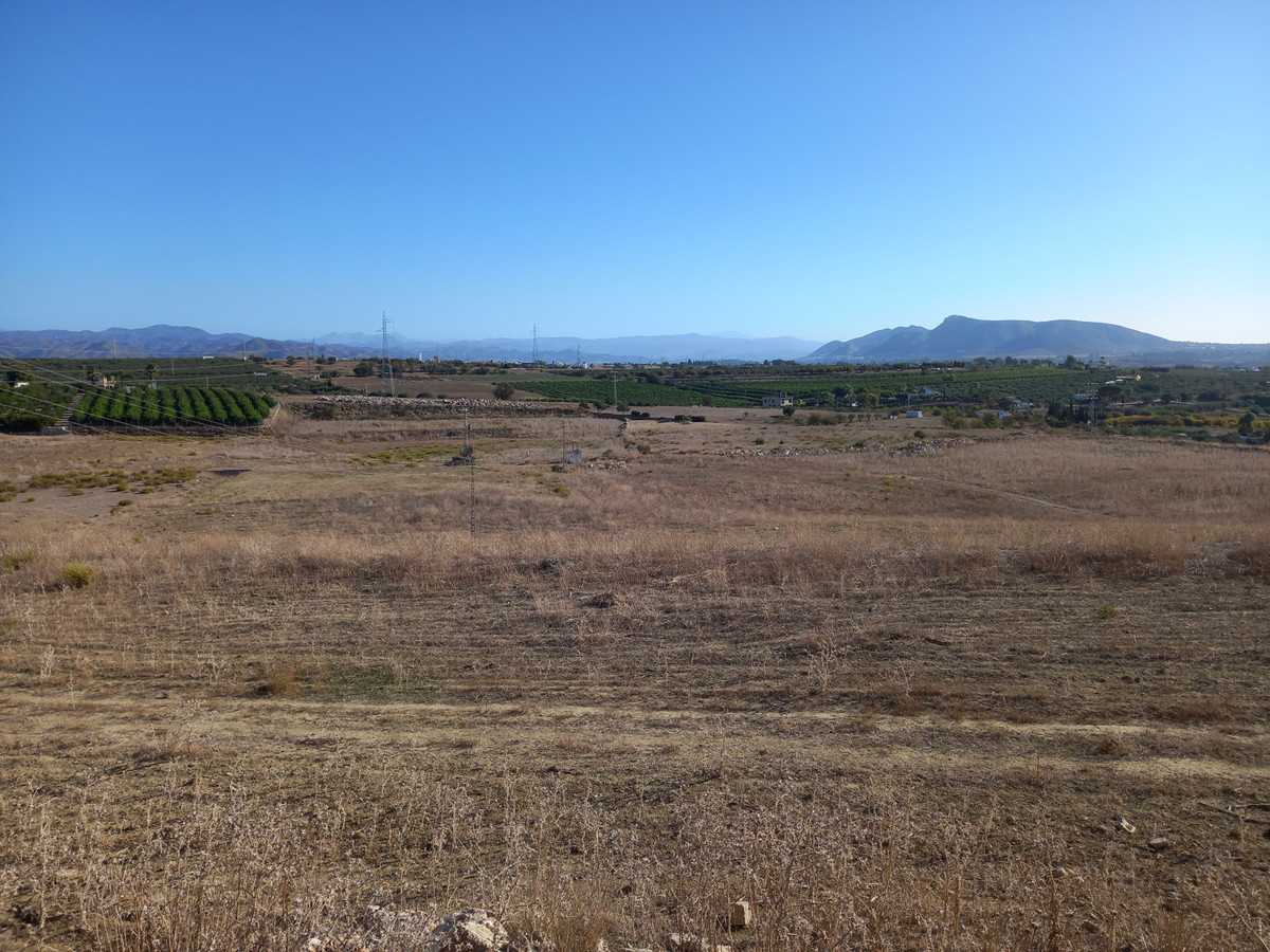 Land in Coin, Andalusia 12206707