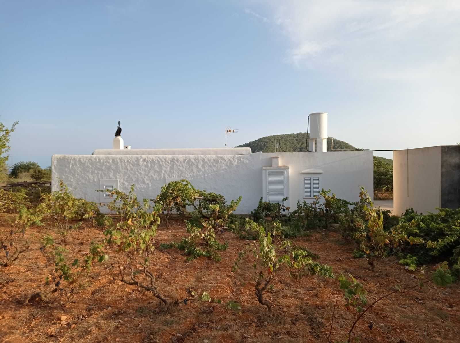 House in Ibiza, Balearic Islands 12241102