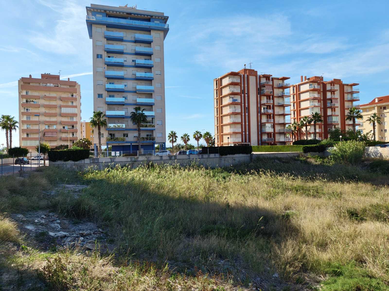 Tanah dalam Guardamar del Segura, Comunidad Valenciana 12241782