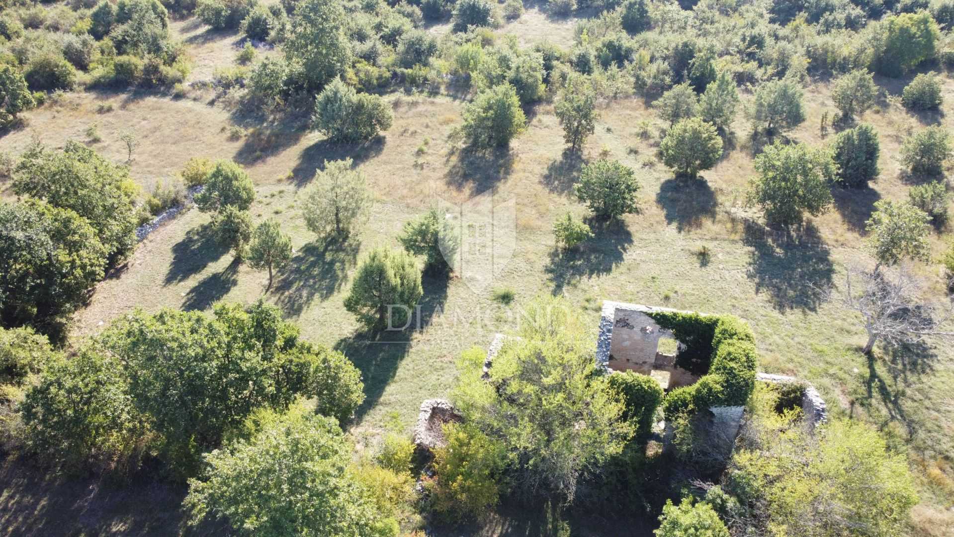 Land im Vodnjan, Istria County 12245138