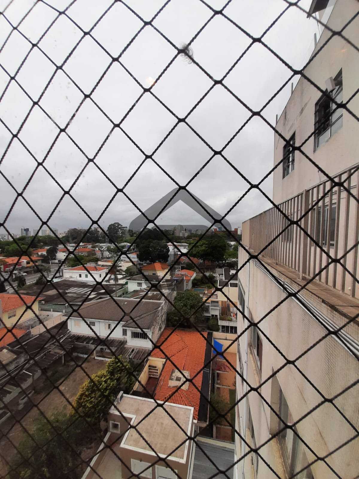 Lain di Ibirapuera, Sao Paulo 12249235