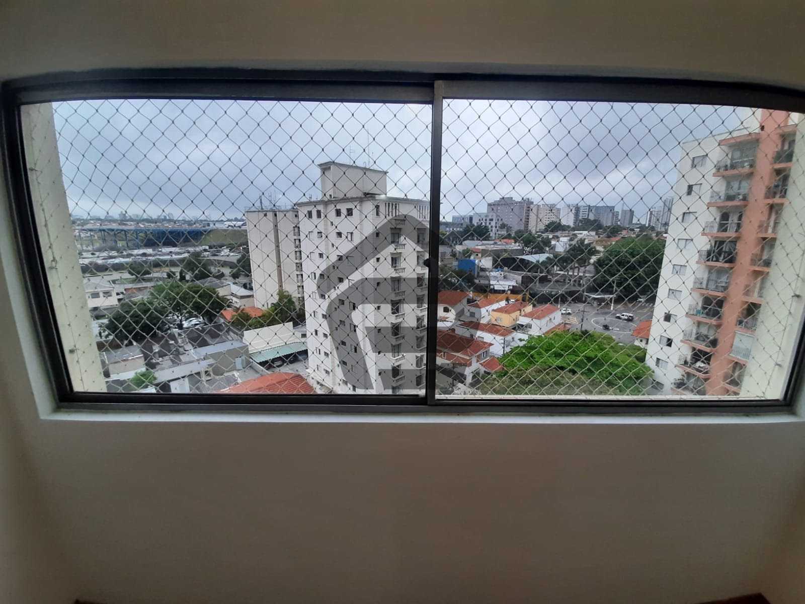 Другой в , São Paulo 12249236