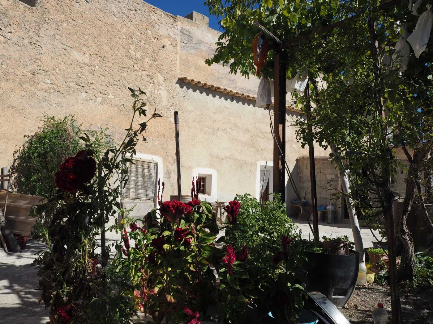 House in Benamaurel, Andalusia 12253340